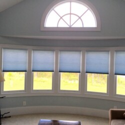 lite rise control shades