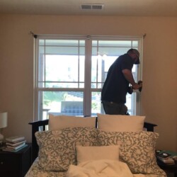 plantation shutters