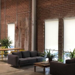 solar shades