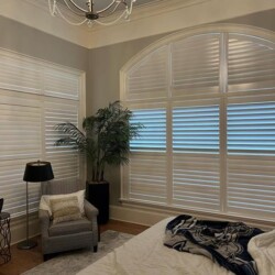 speciality shaped shutters